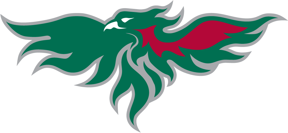 Wisconsin-Green Bay Phoenix 2007-Pres Partial Logo iron on transfers for T-shirts